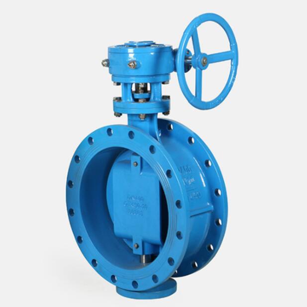 Double offset butterfly valve